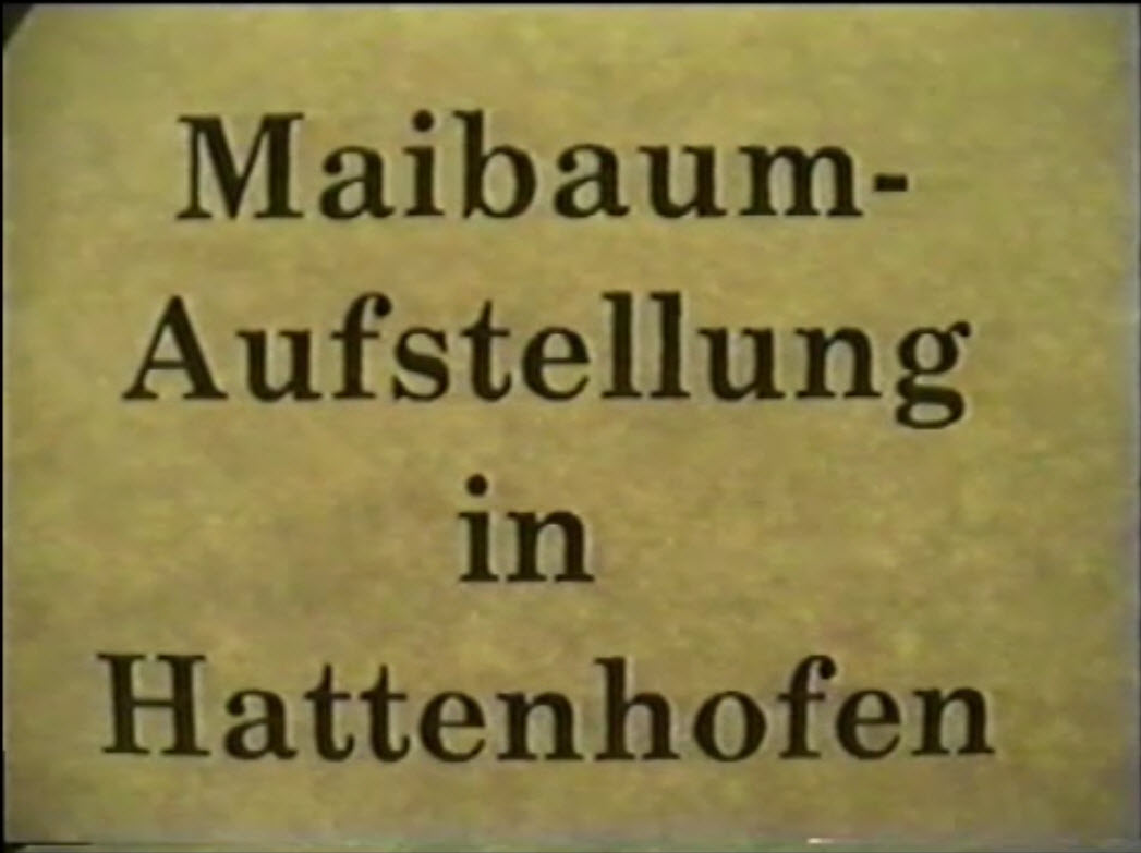 Maibaum1990